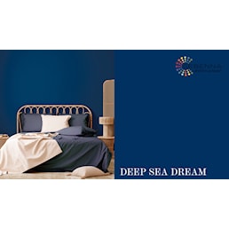 DEEP SEA DREAM.jpg
